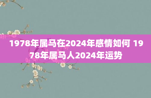 1978年属马在2024年感情如何 1978年属马人2024年运势