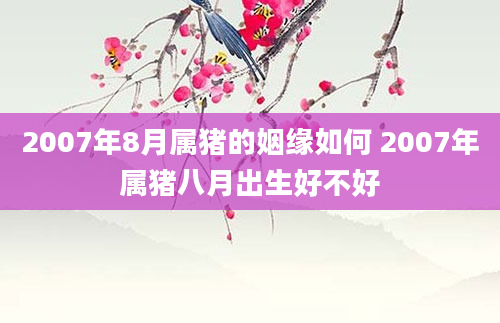 2007年8月属猪的姻缘如何 2007年属猪八月出生好不好
