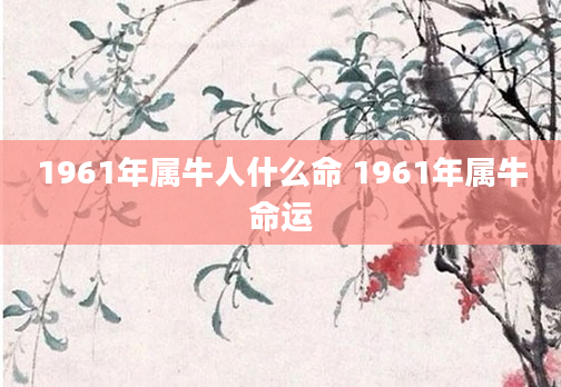 1961年属牛人什么命 1961年属牛命运