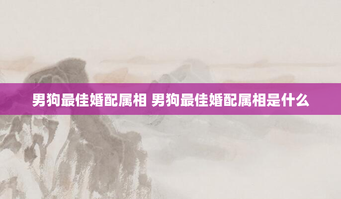 男狗最佳婚配属相 男狗最佳婚配属相是什么