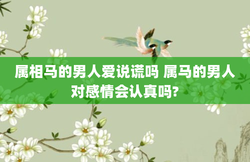 属相马的男人爱说谎吗 属马的男人对感情会认真吗?