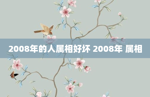 2008年的人属相好坏 2008年 属相