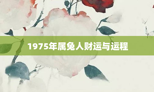 1975年属兔人财运与运程