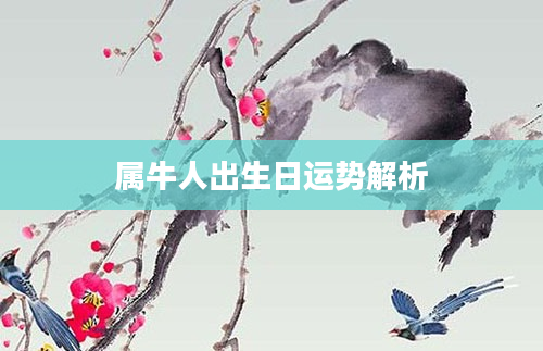 属牛人出生日运势解析