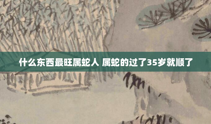 什么东西最旺属蛇人 属蛇的过了35岁就顺了