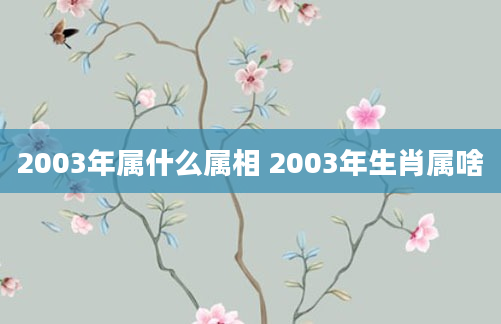 2003年属什么属相 2003年生肖属啥