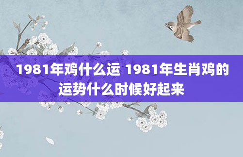 1981年鸡什么运 1981年生肖鸡的运势什么时候好起来
