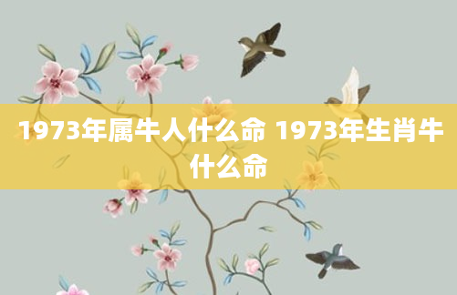 1973年属牛人什么命 1973年生肖牛什么命