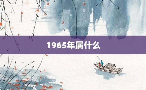 1965年属什么