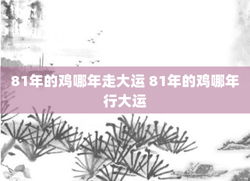 81年的鸡哪年走大运 81年的鸡哪年行大运