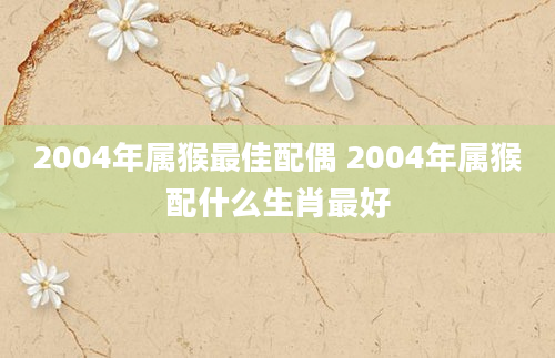 2004年属猴最佳配偶 2004年属猴配什么生肖最好