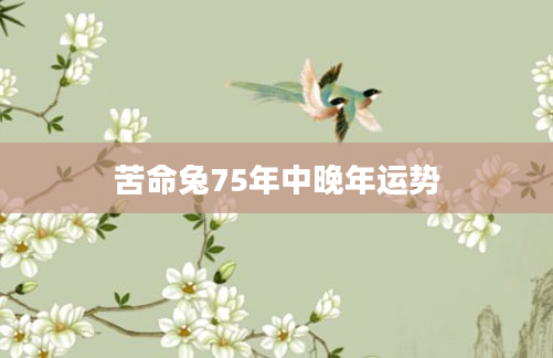 苦命兔75年中晚年运势