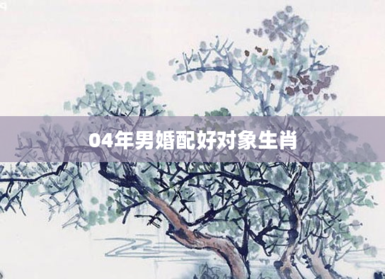 04年男婚配好对象生肖