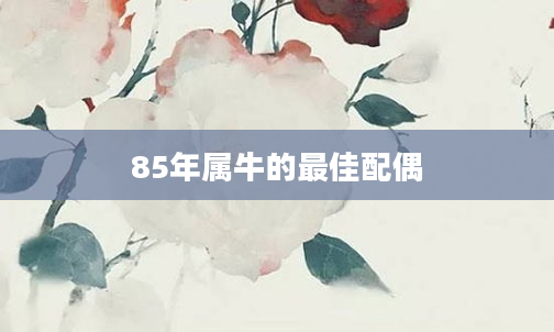 85年属牛的最佳配偶