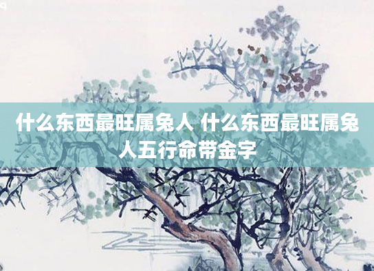 什么东西最旺属兔人 什么东西最旺属兔人五行命带金字
