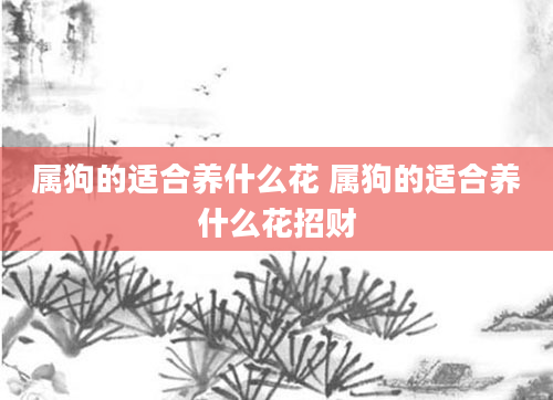 属狗的适合养什么花 属狗的适合养什么花招财