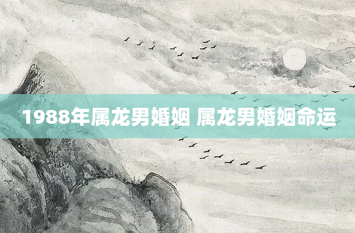 1988年属龙男婚姻 属龙男婚姻命运