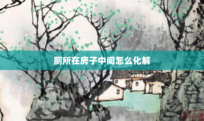 厕所在房子中间怎么化解