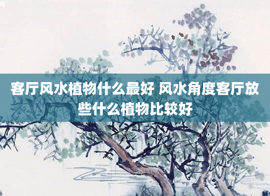 客厅风水植物什么最好 风水角度客厅放些什么植物比较好