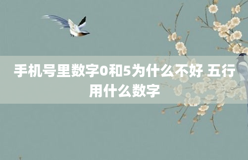 手机号里数字0和5为什么不好 五行用什么数字