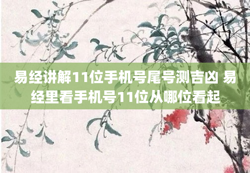 易经讲解11位手机号尾号测吉凶 易经里看手机号11位从哪位看起