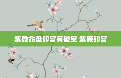 紫微命盘卯宫有破军 紫薇卯宫