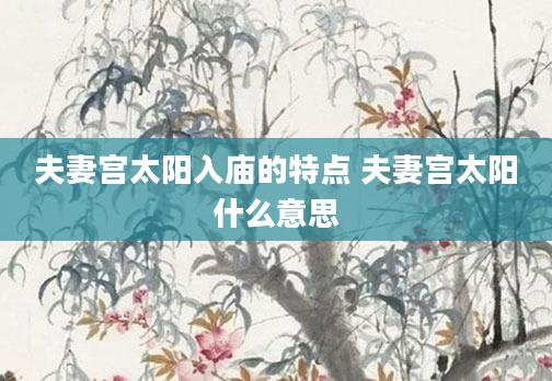夫妻宫太阳入庙的特点 夫妻宫太阳什么意思