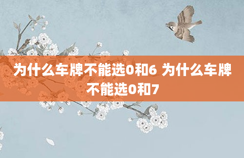 为什么车牌不能选0和6 为什么车牌不能选0和7