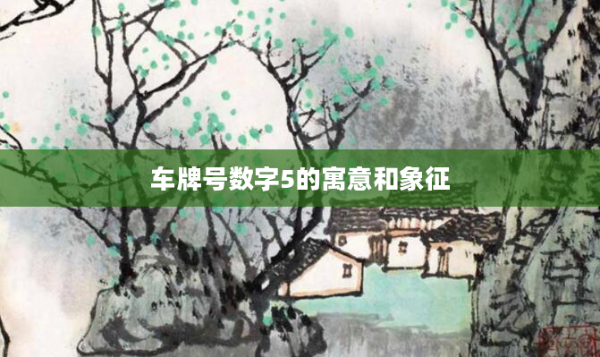车牌号数字5的寓意和象征