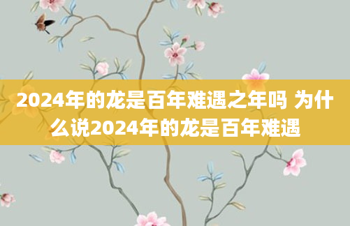 2024年的龙是百年难遇之年吗 为什么说2024年的龙是百年难遇