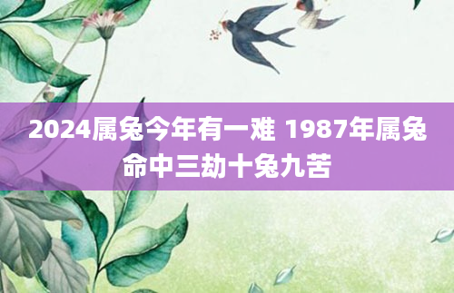 2024属兔今年有一难 1987年属兔命中三劫十兔九苦