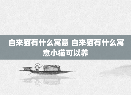 自来猫有什么寓意 自来猫有什么寓意小猫可以养