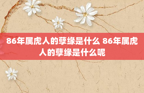 86年属虎人的孽缘是什么 86年属虎人的孽缘是什么呢