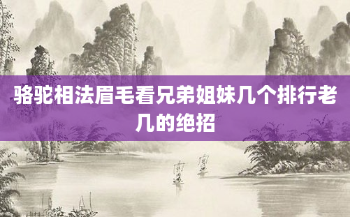 骆驼相法眉毛看兄弟姐妹几个排行老几的绝招