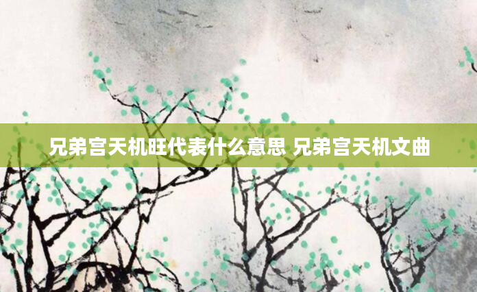 兄弟宫天机旺代表什么意思 兄弟宫天机文曲
