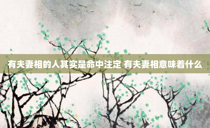 有夫妻相的人其实是命中注定 有夫妻相意味着什么