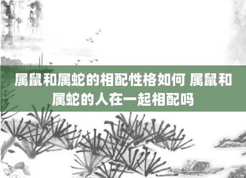 属鼠和属蛇的相配性格如何 属鼠和属蛇的人在一起相配吗