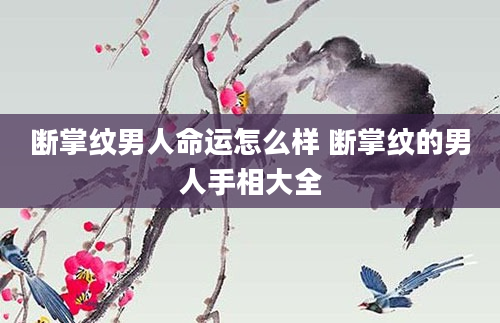 断掌纹男人命运怎么样 断掌纹的男人手相大全