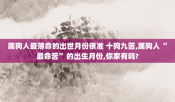 属狗人最薄命的出世月份很准 十狗九苦,属狗人“最命苦”的出生月份,你家有吗?