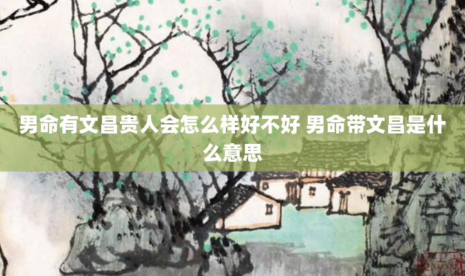 男命有文昌贵人会怎么样好不好 男命带文昌是什么意思
