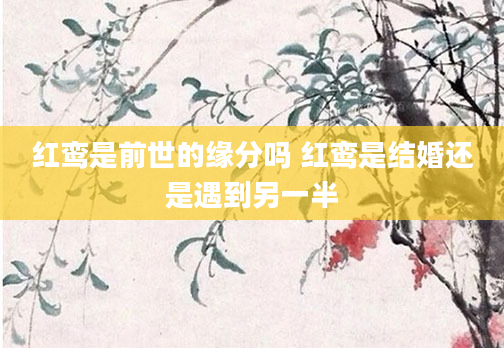 红鸾是前世的缘分吗 红鸾是结婚还是遇到另一半