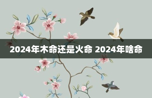 2024年木命还是火命 2024年啥命
