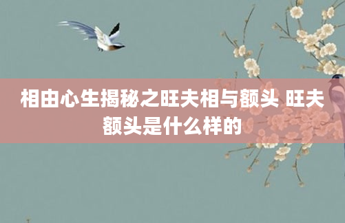 相由心生揭秘之旺夫相与额头 旺夫额头是什么样的