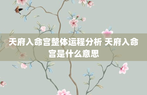天府入命宫整体运程分析 天府入命宫是什么意思