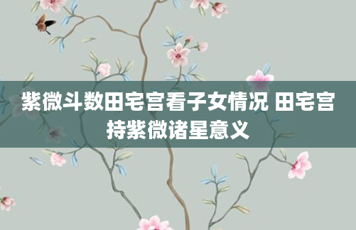 紫微斗数田宅宫看子女情况 田宅宫持紫微诸星意义