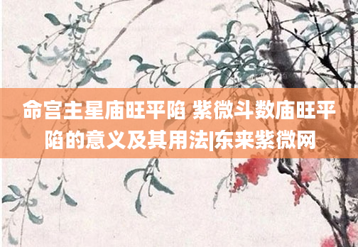 命宫主星庙旺平陷 紫微斗数庙旺平陷的意义及其用法|东来紫微网