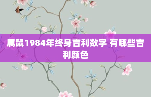 属鼠1984年终身吉利数字 有哪些吉利颜色