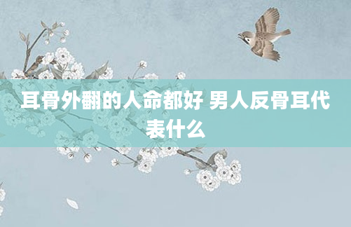 耳骨外翻的人命都好 男人反骨耳代表什么
