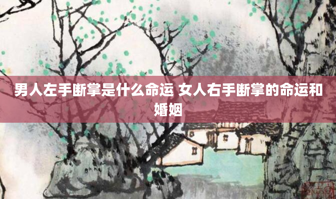 男人左手断掌是什么命运 女人右手断掌的命运和婚姻