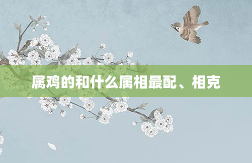属鸡的和什么属相最配、相克